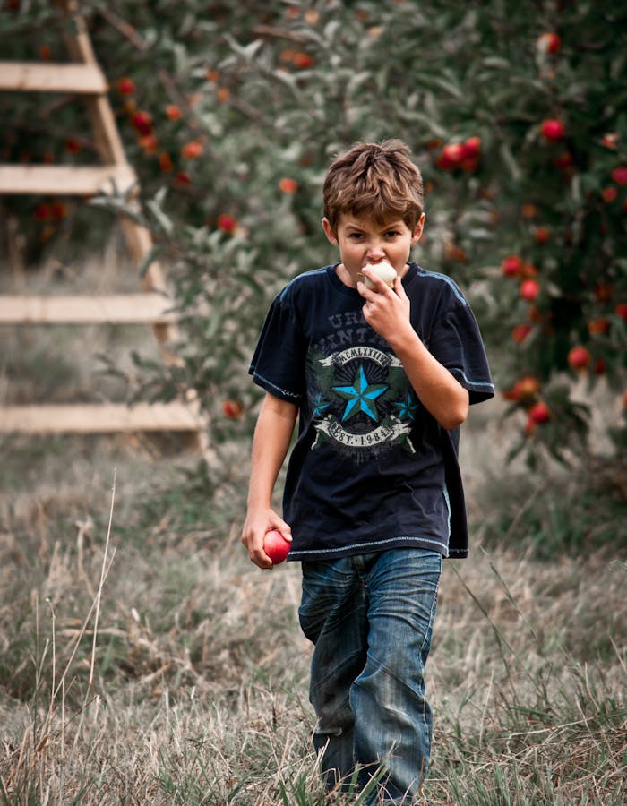 about-01 Young boy eating an apple in a lush orchard on a sunny day, embodying leisure and nature.